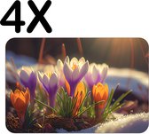 BWK Luxe Placemat - De Eerste Krokus Bloemen van het Seizoen - Set van 4 Placemats - 45x30 cm - 2 mm dik Vinyl - Anti Slip - Afneembaar