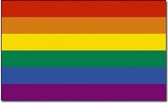 5x Regenboog vlaggen 90 x 150 cm - Gaypride vlag