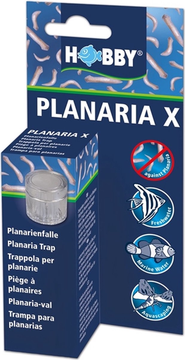 Hobby Planaria X