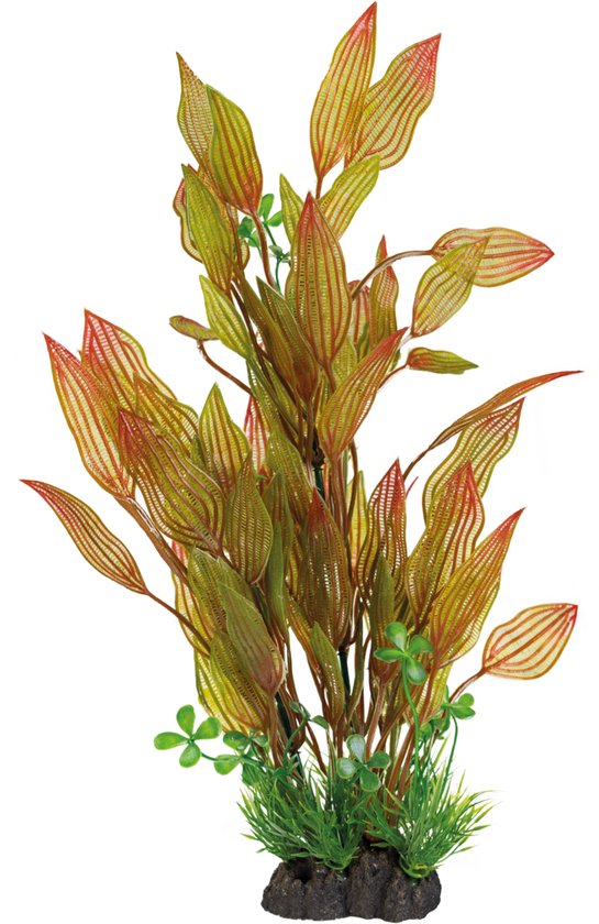 Art Plants 40cm - Superfish Art Plant 40cm Henkelianus