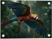 Tuinposter – Vliegende ara papegaai in tropisch regenwoud - 40x30 cm Foto op Tuinposter (wanddecoratie voor buiten en binnen)