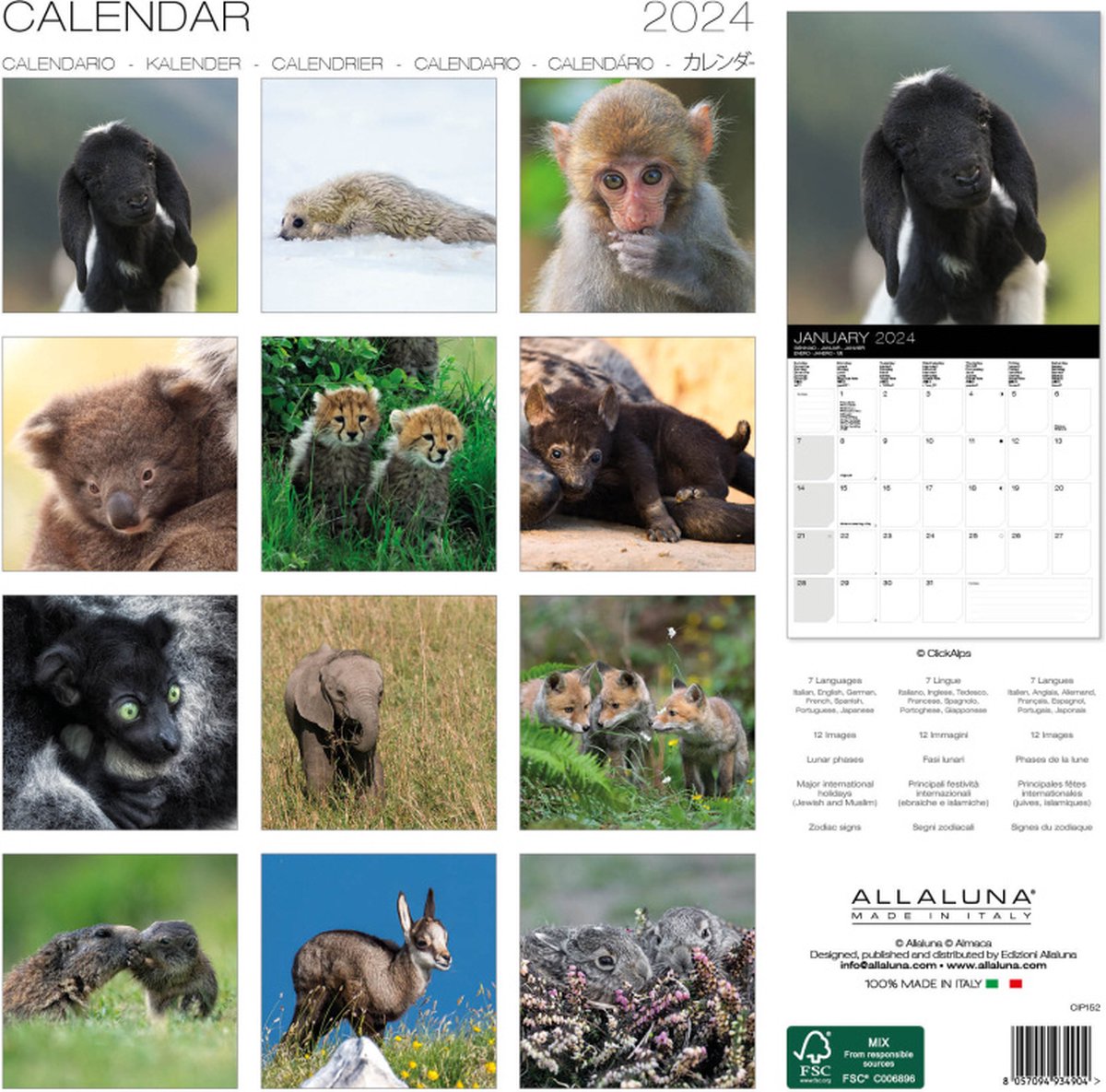 CALENDRIER 2024 30X30 TIERBABYS BÉBÉS ANIMAUX ÉDITION ALPHA