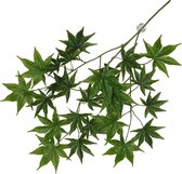 Terra Della - Terrariumplant - Reptielen - Hangende Plant Cannabis 65x40x5cm Groen - 1st