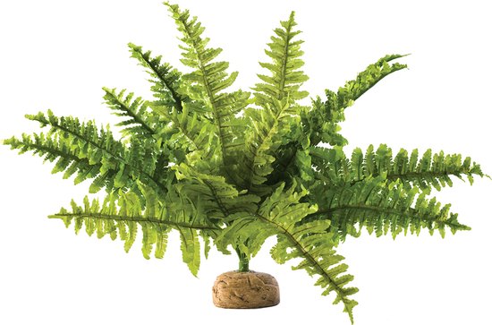 Exo Terra Terrarium decoratie Rainforest Plant Boston Fern - 30cm