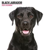 Labrador Retriever Zwart Kalender 2024 Modern