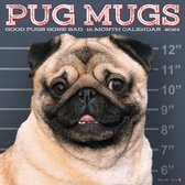 Pug Mugs 2024 12 X 12 Wall Calendar