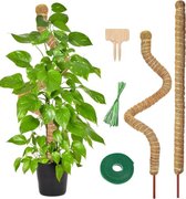 BOTC Mosstok voor Planten - 6-Delig - Plantenstok - Plantensteun - Perfect voor Monstera, Pothos en Meer