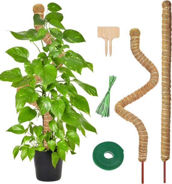 Foto: Botc mosstok voor planten 6 delig plantenstok plantensteun perfect voor monstera pothos en meer