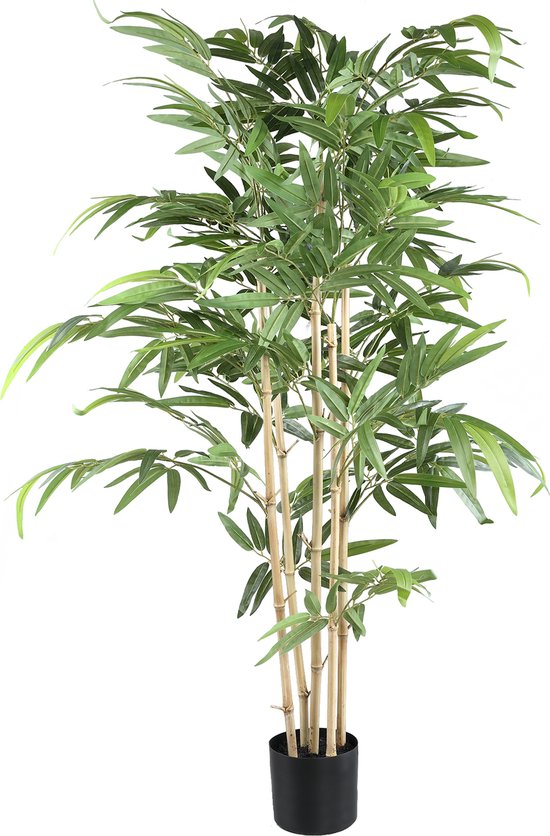 PTMD Leaves Plant plant de bambou avec des feuilles dans un pot noir