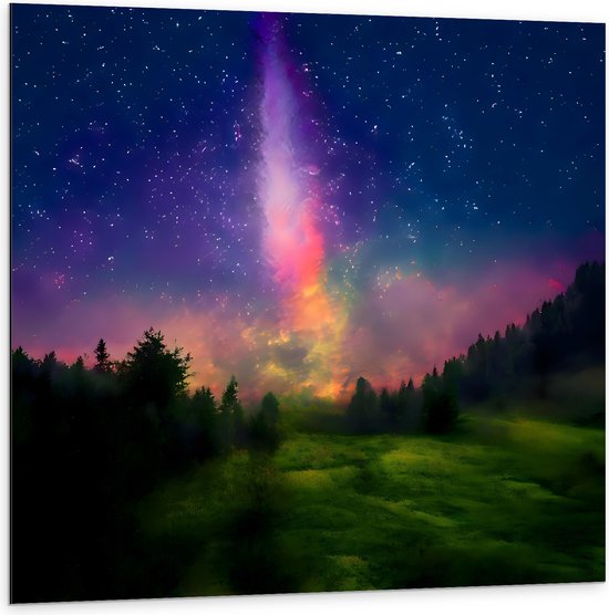 Dibond - Melkweg boven Bos in de Nacht - 100x100 cm Foto op Aluminium (Wanddecoratie van metaal)