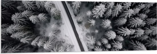 PVC Schuimplaat- Bovenaanzicht van Pad tussen Twee Bossen bedekt met Sneeuw (Zwart-wit) - 150x50 cm Foto op PVC Schuimplaat
