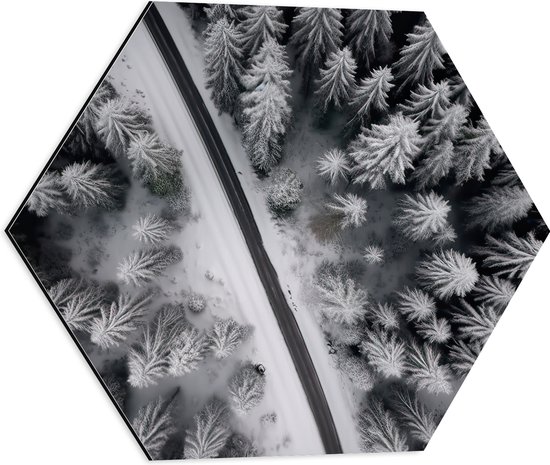 Dibond Hexagon - Bovenaanzicht van Pad tussen Twee Bossen bedekt met Sneeuw (Zwart-wit) - 50x43.5 cm Foto op Hexagon (Met Ophangsysteem)