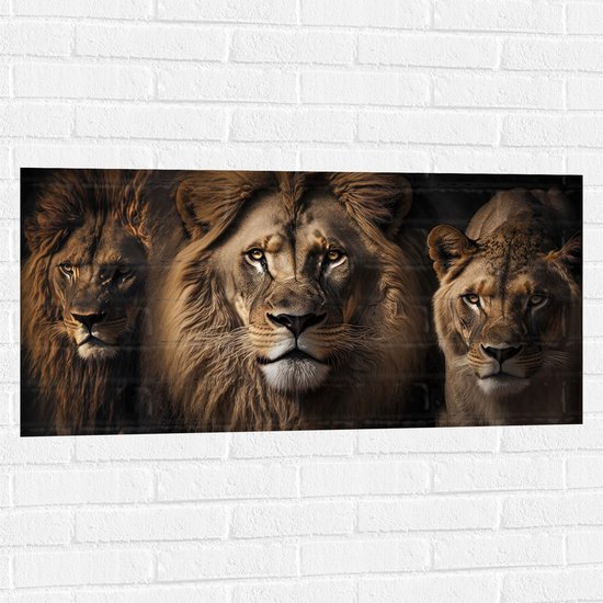 Muursticker - Portretfoto van Drietal Prachtige Leeuwen - 100x50 cm Foto op Muursticker