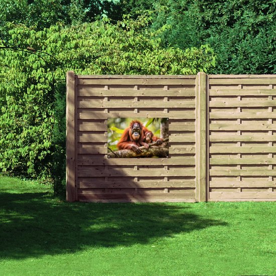 Tuinposter – Orang Oetan Aap met Baby zittend bij Takken - 90x60 cm Foto op Tuinposter (wanddecoratie voor buiten en binnen)