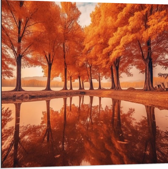 Dibond - Feloranje Bomen met Weerspiegeling aan het Water - 80x80 cm Foto op Aluminium (Met Ophangsysteem)