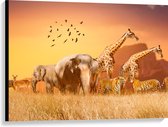 Canvas - De Dieren van het Afrikaanse Landschap - 100x75 cm Foto op Canvas Schilderij (Wanddecoratie op Canvas)