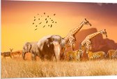 PVC Schuimplaat- De Dieren van het Afrikaanse Landschap - 120x80 cm Foto op PVC Schuimplaat