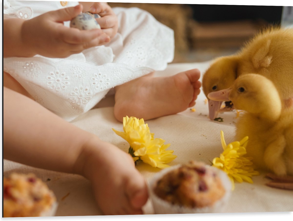 Dibond - Baby - Voetjes - Jurkje - Bloemen - Cakejes - Dieren - Eendjes - 80x60 cm Foto op Aluminium (Met Ophangsysteem)