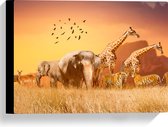 Canvas - De Dieren van het Afrikaanse Landschap - 40x30 cm Foto op Canvas Schilderij (Wanddecoratie op Canvas)