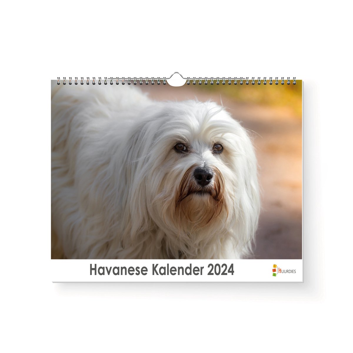 Kalender 2024 - Havanese - 35x24cm - 300gms - Spiraalgebonden - Inclusief ophanghaak