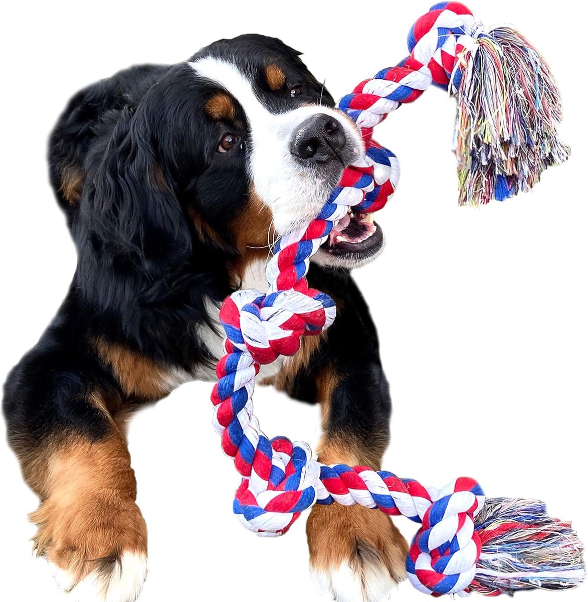 Jouet en corde pour chiens de grande taille et forts, 105 cm, 5 nœuds,  corde pour... | bol.com