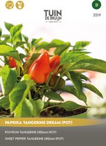 Tuin de Bruijn® zaden - Paprika Tangerine Dream (pot) - compacte pot-paprika - ca. 10 zaden