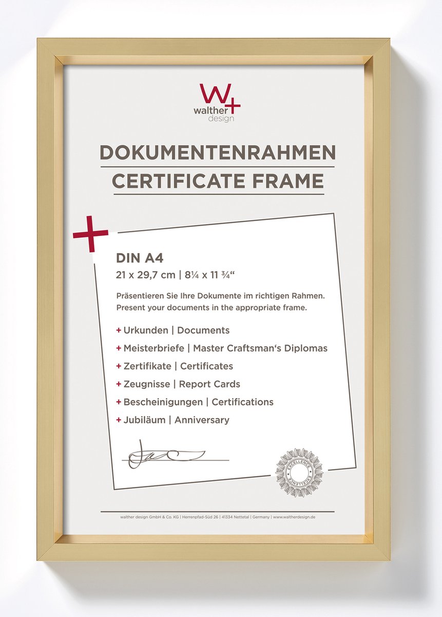 Walther Steel Style - Kunststof lijst - Fotoformaat 21x29.7 cm - Goud