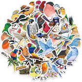 Vogels Stickers - Mix 50 stuks - 5x6CM - Vogel stickers voor muur, raam, journal, laptop etc.