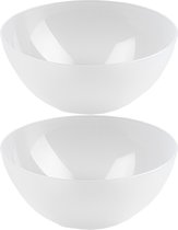 Plasticforte Serveerschaal/saladeschaal - 2x stuks - D20 x H8 cm - kunststof - transparant