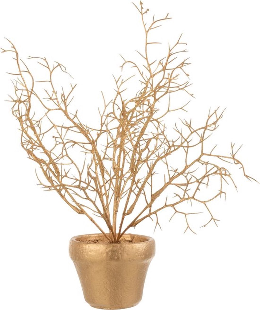 Tak in bloempotje - Goud - 15 x 15 x 30 cm hoog