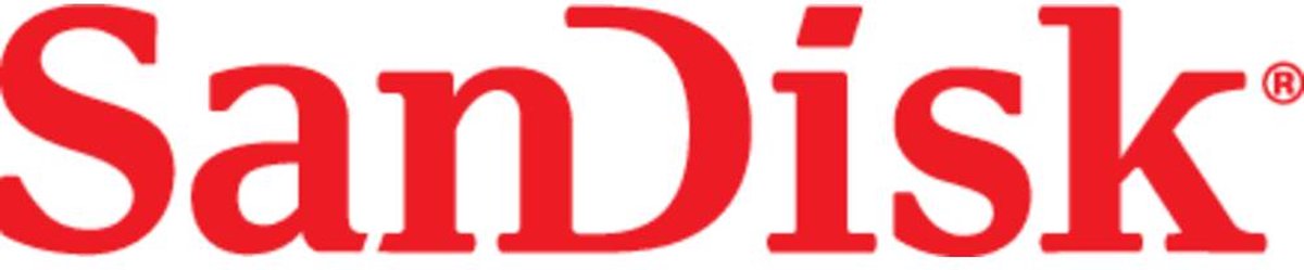 SanDisk Ultra 256GB存储卡 4
