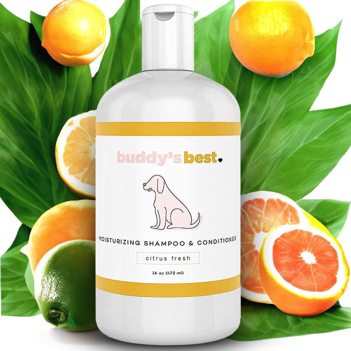 Buddy's Best Citrus Fresh Shampoo & Conditioner 16Oz bol