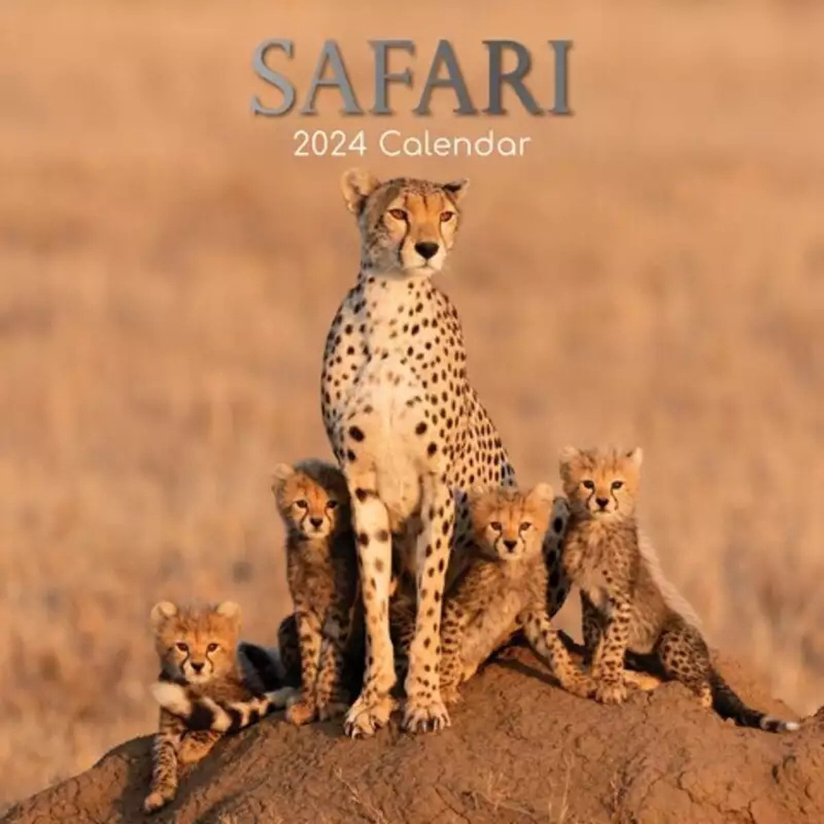 Safari Kalender 2024