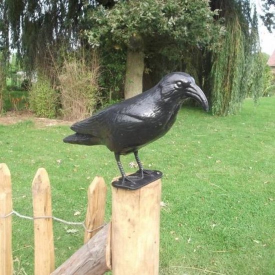 Figurine De Jardin, Corbeau Anti-Pigeon Et De Décoration, Noir