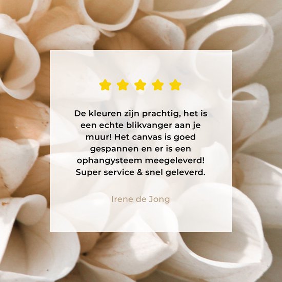 Peinture sur toile 20x20 cm - Décoration murale Fleurs - Wit - Nature - Décoration murale murale salon - Décoration chambre - Accessoires de chambre - Peintures