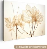 Canvas Schilderij Droogbloemen - Beige - Planten - Wit - 60x40 cm - Wanddecoratie