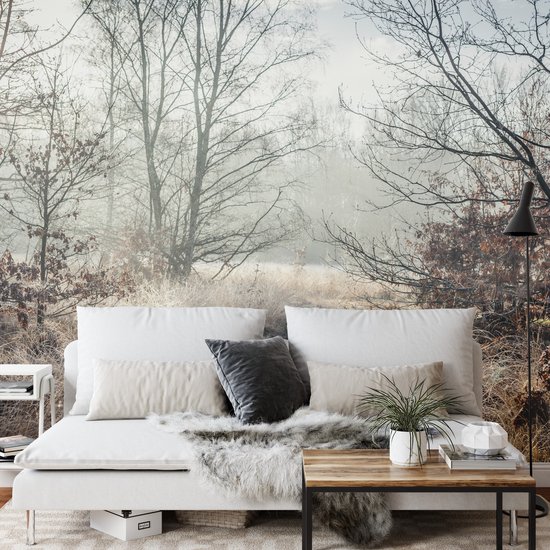Papier peint photo Forêt dans la brume - Papier peint non tissé - 520 x 318 cm
