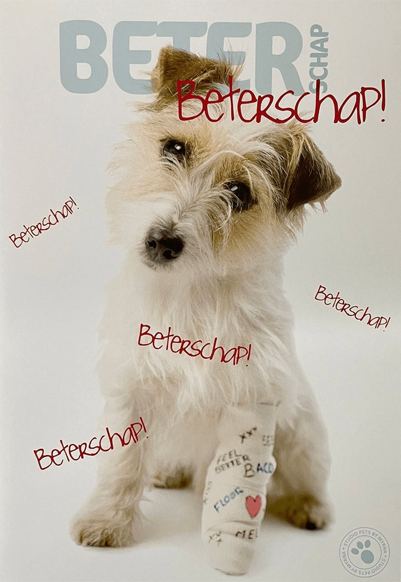 Studio Pets PU Bagcharm