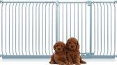 Bettacare Extra Tall Elite Hondenhek Assortiment,, 225cm - 234cm (70 opties beschikbaar), Mat Grijs, Extra Hoog 100cm in Hoogte, Druk Montage Hek voor Honden en Puppy's, Huisdier en Hond Barrière, Eenvoudige Installatie