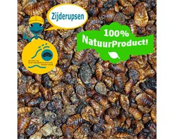 Gedroogde Zijderupsen voor Waterschildpadden - Natuurproduct - 300g
