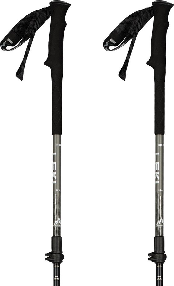 Leki Peak 3 Jonge Polen Zilver 100-135 cm