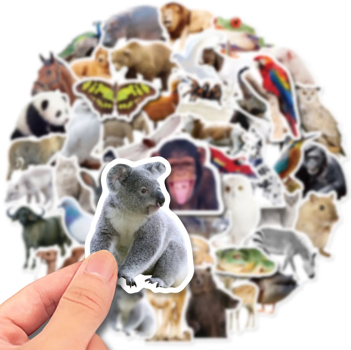 Dieren Stickers 50 Stuks | Animals Stickers | Dierentuin Dieren | Aap | Vlinder | Leeuw | Panda | Vis | Kameel | Laptop Stickers | Stickers Kinderen en Volwassenen | Stickervellen | Plakstickers | Koffer Stickers | Stickers Bullet Journal en Planner — afbeelding 3
