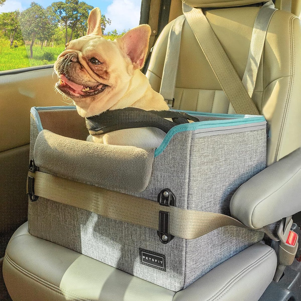 Siège auto pour petits chiens, siège auto portable pour chiens jusqu'à 11,3  kg, mise à