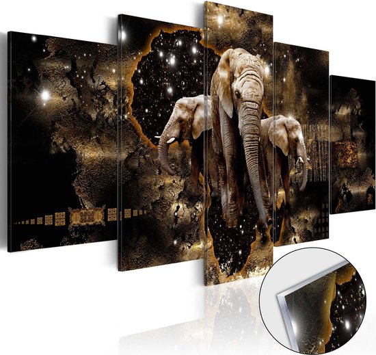 Afbeelding op acrylglas - Brown Elephants [Glass].