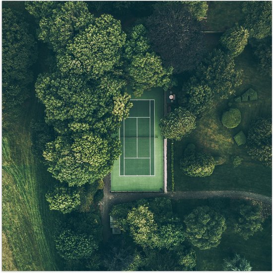Poster Glanzend – Bovenaanzicht van Tennisbaan tussen de Bomen - 50x50 cm Foto op Posterpapier met Glanzende Afwerking