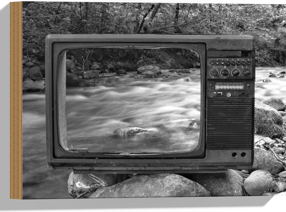 Hout - Oude Vintage Televisie met Doorkijk op Rivier (Zwart-wit) - 40x30 cm - 9 mm dik - Foto op Hout (Met Ophangsysteem)