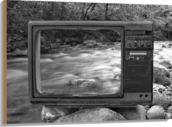 Hout - Oude Vintage Televisie met Doorkijk op Rivier (Zwart-wit) - 100x75 cm - 9 mm dik - Foto op Hout (Met Ophangsysteem)