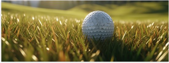 Poster (Mat) - Gras - Golf - Golfbal - 120x40 cm Foto op Posterpapier met een Matte look