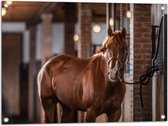 Tuinposter – Dier - Paard - Bruin - Stal - 80x60 cm Foto op Tuinposter (wanddecoratie voor buiten en binnen)