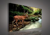 Canvas Schilderij - Hert - Bos - Landschap - Dieren - Natuur - Water - Inclusief Frame - 100x75cm (lxb)